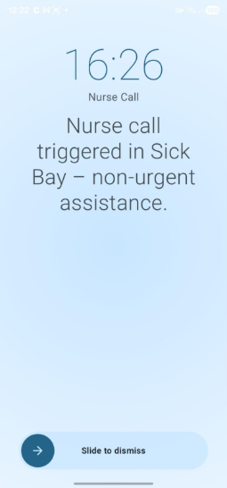 Fullscreen alarm view